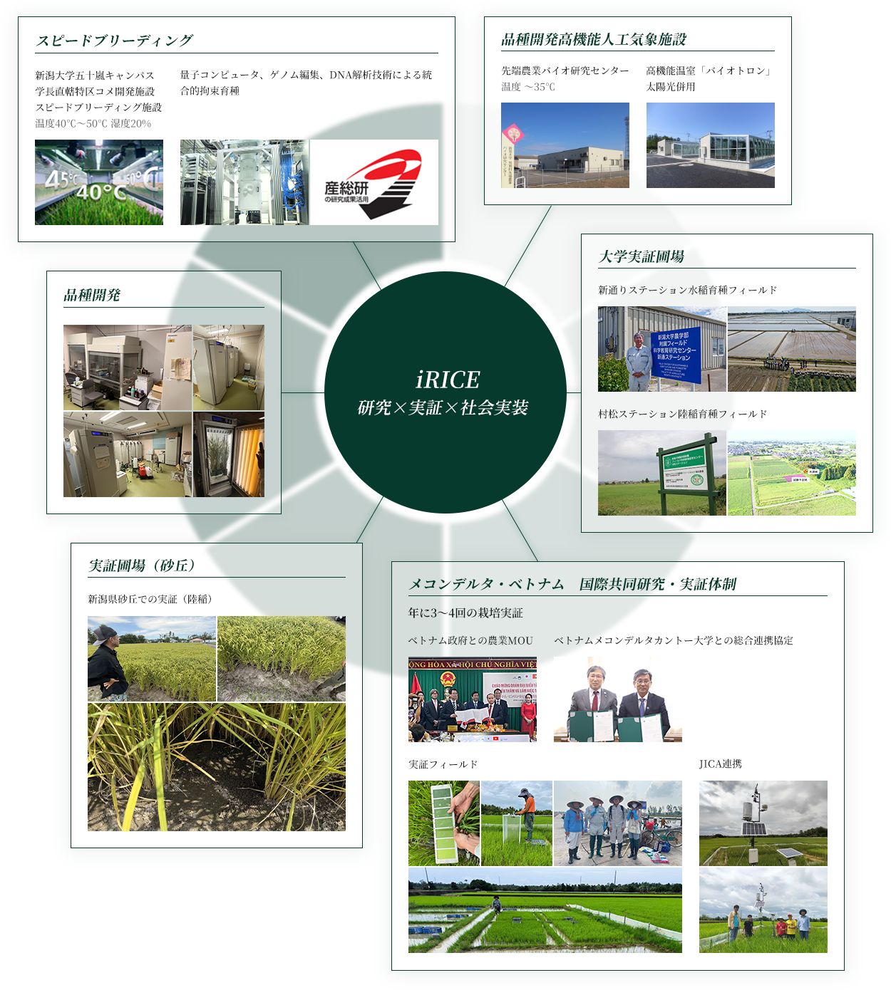 新潟大学iRICE耐気候変動新品種超迅速開発体制
