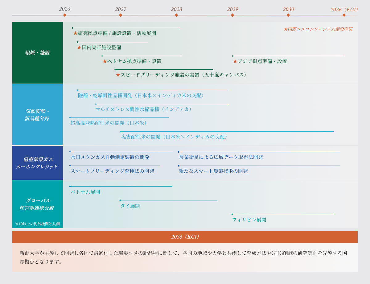 ロードマップ