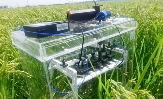 研究では終わらせない、課題解決に向けた社会実装まで取り組む