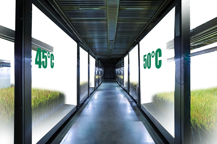 超高速耐気候変動品種開発プロジェクト