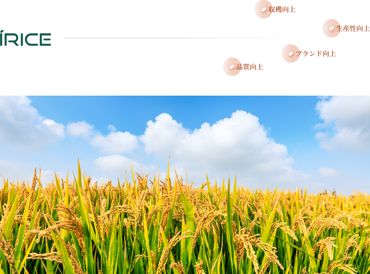 新潟の未来のために。