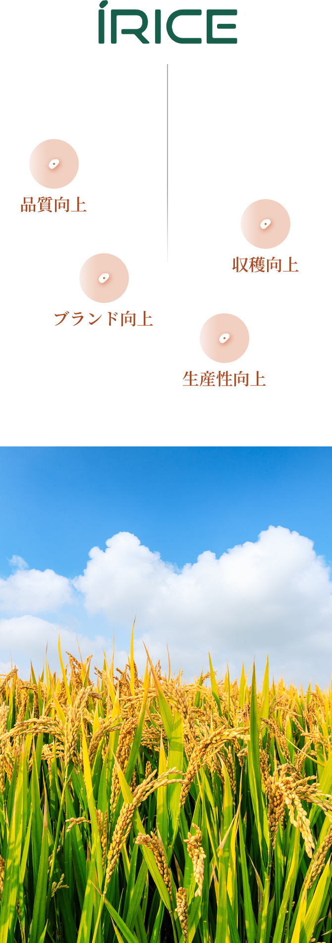 新潟の未来のために。